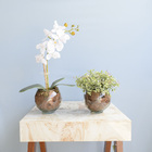 Kit Com 2 Arranjos Formosinha | Orquídea Artificial Branca +